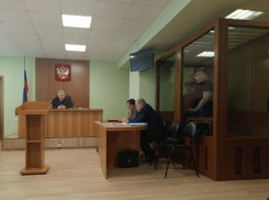 О политической провокации после ареста Мишанкова предупредили правительство Воронежской области