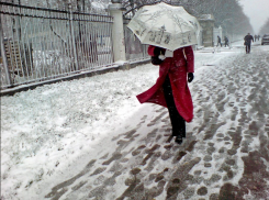 Дожди сменят снегопад в Воронеже 