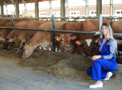 Вика на ферме: кто и как производит вкусное молоко в Воронежской области