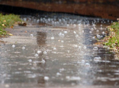 Холодная погода с осадками продержится в Воронеже до выходных