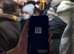 Стало известно, какой процент воронежцев поддерживает введение QR-кодов в общественном транспорте
