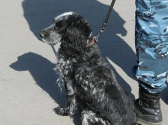 Воронежец заминировал психоневрологический диспансер