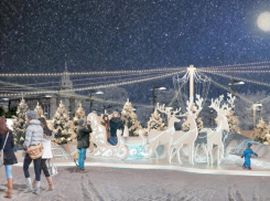 Как будет работать площадь Ленина в Новый год в Воронеже 