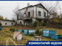 «Это позор для области»: о крахе целой отрасли АПК предупредили воронежских чиновников