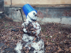 «Не придирайтесь», - символ воронежской зимы показали на фото