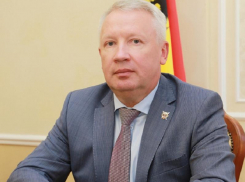 Фейковый Иван Иванович притворился сотрудником мэрии Воронежа