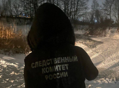 Два мальчика утонули в реке Усманке под Воронежем