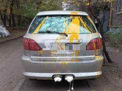 Неизвестный подверг машину креативному окрашиванию в Воронеже