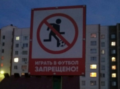 Людям запретили играть в футбол в Воронеже с помощью знака 