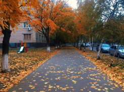Дождливым и прохладным выдастся последней день октября в этом году в Воронеже