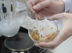 «Твердая вода» из Воронежа попала в рейтинг лучших изобретений страны