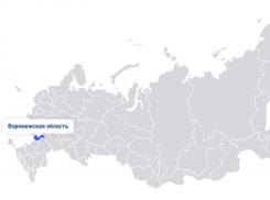 Воронежская область в ковидном рейтинге регионов России 