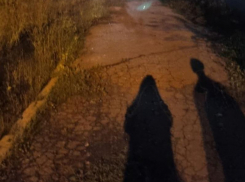 Прочесывали район вдоль и поперек: сразу двух пропавших 10-летних девочек нашли волонтеры за ночь в Воронеже