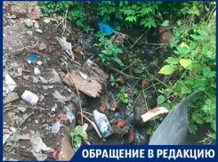 В Воронеже зловонный лог мешает людям жить