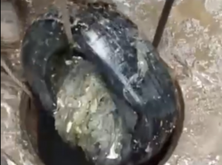 Автомобильную шину достали из канализации в Воронеже 