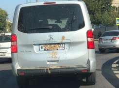 Гость на Peugeot проехался по Воронежу с отвратительным номером 