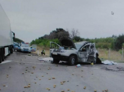 Опубликованы жуткие снимки смертельной массовой аварии с грузовиком на М-4 «Дон»