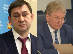 Катастрофический уровень узнавания главных воронежских депутатов выявили социологи
