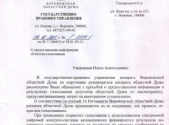 Воронежская областная Дума не хочет раскрывать фамилии депутатов, голосовавших за закон Димы Яковлева