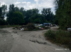 Новоиспеченного мэра пригласили прогуляться по воронежской набережной 