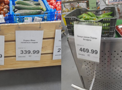 Космические цены на огурцы заметили в воронежской «Линии»