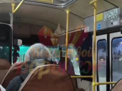 «Не нравится - не едьте», – о хамском поведении водителя рассказали пассажиры воронежской маршрутки