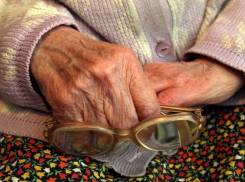 Молодой житель Воронежской области совершил убийство 88-летней старушки