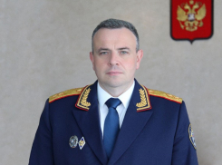 Главный воронежский следователь сократил свои доходы, но купил дом и землю