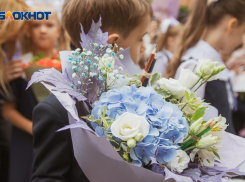 35-градусная жара  накроет Воронежскую область 1 сентября 