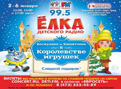 Детское радио Воронеж представляет: новогодний праздник для детей и взрослых «Ёлка Детского радио - Веснушка и Кипятоша в Королевстве игрушек»