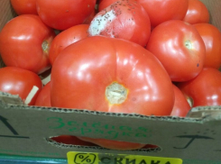 В Воронеже начали продавать со скидкой гнилые и облепленные мошками помидоры