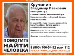 80-летний пенсионер поехал в магазин и пропал без вести в Воронежской области
