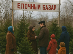 Публикуем адреса елочных базаров в Воронеже
