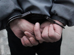 Двое воронежцев похитили девушку из Тамбовской области