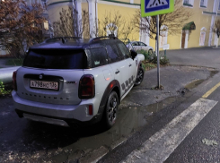 Безумная парковка потрясла воронежцев