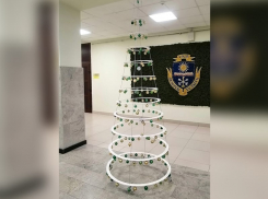 Елочку за ноль рублей показали в Воронеже