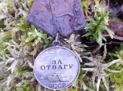 Обнаружена медаль воронежца, который сражался за свободу Эстонии от нацизма