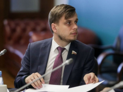 Придет другая игра: депутат Госдумы из Воронежа прокомментировал блокировку Roblox