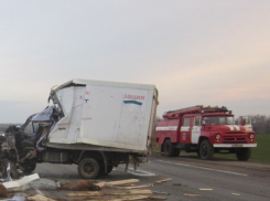 На воронежской трассе лоб в лоб столкнулись две «ГАЗели»: погиб водитель
