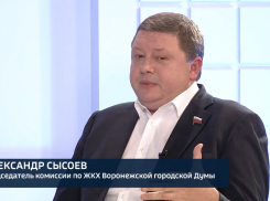 «Концессионер – не Буратино», - депутат Воронежской гордумы оправдал тарифы ЖКХ интересами избирателя