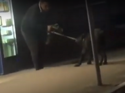  Пес спас воронежца от ожирения в местном фастфуде 