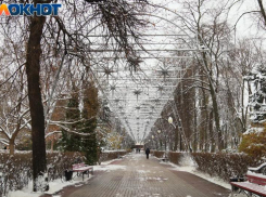  Снегом и плюсовой температурой попрощается январь с воронежцами 