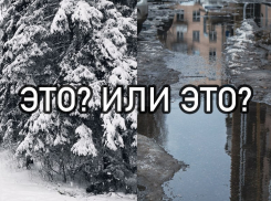 Ждать ли от погоды зимней сказки перед Новым годом жителям Воронежа 