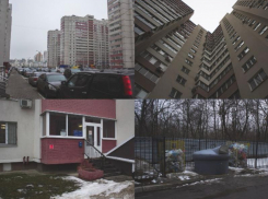 Кому в Воронеже жить хорошо: Ботанический сад или парковочный ад 