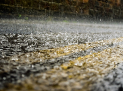 Дожди вернутся в Воронеж в середине рабочей недели 