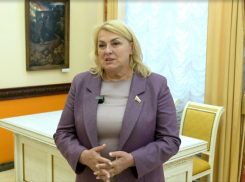 Члены «Единой России» планируют стать наставниками участников проекта «Герои земли Воронежской»