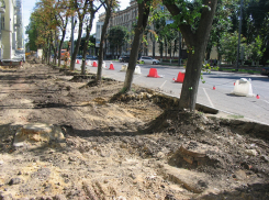 Зеленая экологическая катастрофа и проваленные ключевые благоустройства: как изменилась городская среда Воронежа в 2021 году