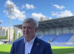 О судьбе воронежского стадиона рассказал Александр Гусев