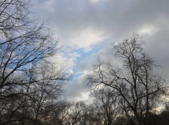 Всю неделю в Воронеже погода будет холодной и относительно ясной