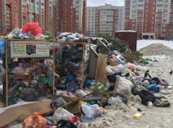 Измерить мусор пуфиками предложила жительница Воронежа